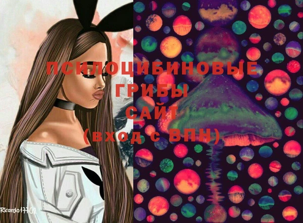 ECSTASY Нефтекумск
